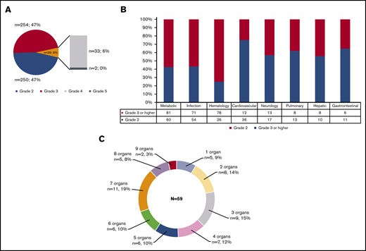 Distribution of toxicities grade ≥2 according to NCI CTCAE version 5.0 criteria. (A) Overall toxicities. (B) Organ-based stratification. (C) Number of organ involvement.