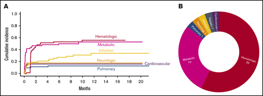 Severe toxicities after CAR T cells. (A) Cumulative incidence of toxicities grade ≥3 with an incidence of >10% as stratified by organ systems. (B) Severe toxicities grade 4 and grade 5 as stratified by organ system.