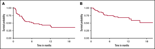 EFS and OS of aggressive large B-cell NHL treated with CD19-specific CAR T-cell therapy. (A) EFS (1-year EFS, 40%). (B) OS (1-year OS, 69%).