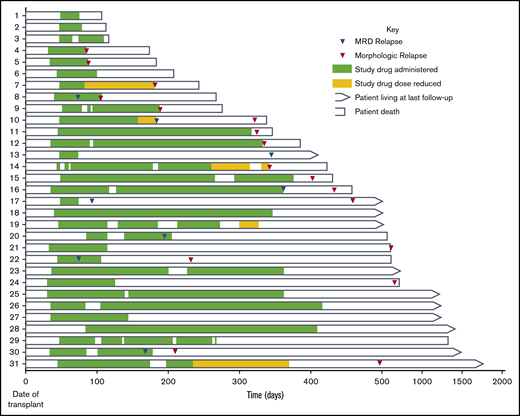 Detailed treatment timeline and outcomes for each enrolled patient (by row).