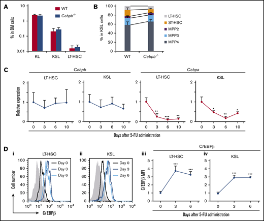 C/EBPβ is upregulated in HSPCs under stress conditions. (A) Frequencies of KL (c-kit+Sca-1−lineage−) cells, KSL (c-kit+Sca-1+lineage−) cells, and LT-HSCs (CD135−CD150+CD48− KSL cells) among BM cells from WT and Cebpb−/− mice (n = 5 per genotype). (B) Frequencies of LT-HSCs (CD135−CD150+CD48− KSL cells), ST-HSCs, MPP2s, MPP3s, and MPP4s among KSLs from WT and Cebpb−/− mice (n = 5 per genotype). (C) Cebpb and Cebpa mRNA expression in LT-HSCs (CD150+CD48− KSL cells) and KSL cells before and after 5-FU administration. mRNA levels were normalized against that of Gapdh, and the mean value on day 0 was set to 1 (n = 4 biological replicates of 1000-2000 pooled cells in 3 independent experiments per time point). (D) C/EBPβ protein expression in LT-HSCs (CD150+CD48− KSL cells) and KSL cells before and after 5-FU administration. Histograms for the nonspecific isotype control are shown in gray (i-ii). Changes in the relative MFI for C/EBPβ in LT-HSCs (iii) and KSL cells (iv) are plotted (n = 4 per time point in 2 independent experiments). Data are presented as means ± standard deviation (SD). *P < .05; **P < .01; and ***P < .001.
