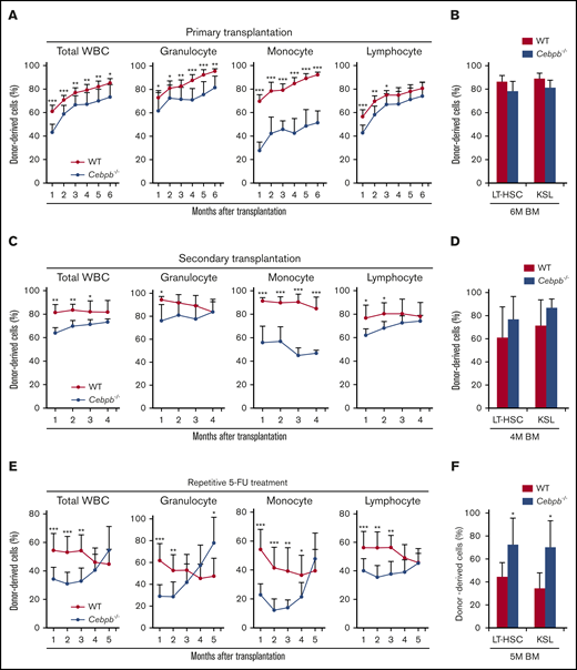 C/EBPβ is required in HSPCs under stress conditions. (A) CD45.2+ WT or Cebpb−/− whole BM cells (5 × 105) and an equal number of WT whole BM cells (CD45.1+) were transplanted into lethally irradiated WT mice (CD45.1+). Chimerism of donor-derived (CD45.2+) cells among total white blood cells (WBCs), granulocytes, monocytes, and lymphocytes 1-6 months after the competitive BM transplantation was shown (n = 11 per group, representative of 3 independent experiments). (B) Chimerism of donor-derived cells among LT-HSCs (CD150+CD48− KSL cells) and KSL (c-kit+Sca-1+lineage−) cells obtained from recipients 6 months after competitive BM transplantation (n = 5 per group, representative of 3 independent experiments). (C) Six months after the primary transplantation, 2 × 106 chimeric BM cells harvested from the primary recipients were transplanted into lethally irradiated WT recipients (CD45.1+; secondary transplantation). Graphs show chimerism of donor-derived cells in the indicated PB fractions 1-4 months after secondary transplantation (n = 11 per group, representative of 2 independent experiments). (D) Chimerism of donor-derived cells among LT-HSCs (CD150+CD48− KSL cells) and KSL cells in recipients 4 months after secondary transplantation (n = 5 per group, representative of 2 independent experiments). (E) CD45.2+ WT or Cebpb−/− whole BM cells (5 × 105) and an equal number of WT whole BM cells (CD45.1+) were transplanted into lethally irradiated WT mice (CD45.1+), and the recipients were treated with 5-FU monthly starting 1 month after transplantation. Graphs show chimerism of donor-derived cells in the indicated cellular fractions of PB (n = 10 per group, representative of 2 independent experiments). (F) Chimerism of donor-derived cells among LT-HSCs (CD150+CD48− KSL cells) and KSL cells in recipients after 5 months of repetitive stress (n = 5 per group, representative of 2 independent experiments). Data are presented as means ± SD. *P < .05; **P < .01; and ***P < .001 (determined by the 2-tailed Student t test).