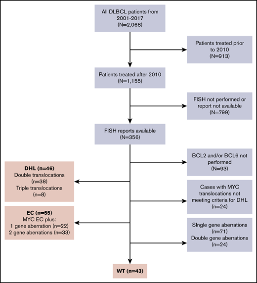 Consort. Of 2068 patients with DLBCL treated at MSKCC from 2001 through 2017, 1155 patients were treated after 2010, when FISH testing for MYC began. Of those, 356 patients (45%) had available FISH reports, and of those, 144 qualified for classification into 1 of the 3 FISH groups for the final inclusion population, including 46, 55, and 43 in the DHL, EC, and WT groups, respectively.