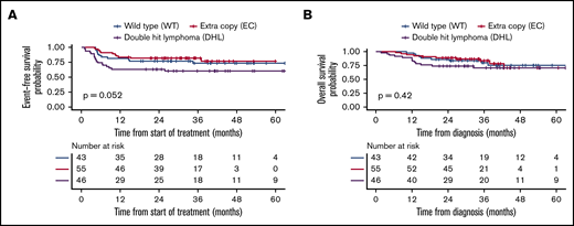 Kaplan-Meier curves stratified by FISH group. Comparison of EFS (A) and OS (B) in the 3 FISH groups.