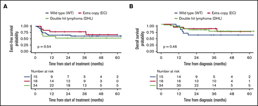 Kaplan-Meier curves for the intensive therapy subgroup. Comparison of EFS (A) and OS (B) in the 3 FISH groups.