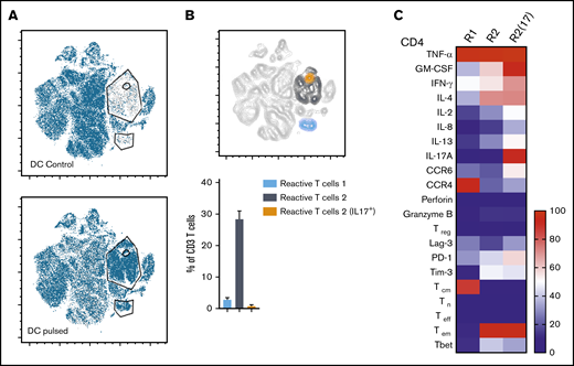 Immunophenotype characterization of reactive T cells against fungi. (A) t-SNE plots (described in Figure 3A) for panfungal T cells cultured for 6 hours with nonpulsed DCs (DC control) or fungus-pulsed DCs (DC pulsed). Gates show 3 different populations of cells responding to fungi (these populations were only present in panfungal T cells cultured with fungal pulsed DCs). (B) Percentage of the 3 populations of reactive panfungal T cells after 6-hour coculture with fungal lysate–pulsed DCs analyzed by CyTOF. Results are means of 3 experiments (±SEM) and shown as percentage of CD4+ T cells. (C) Expression of exhaustion and phenotype markers and cytokines (shown on the y-axis) in the 3 different reactive T-cell populations (shown on the x-axis) of panfungal T-cell products after 6-hour coculture with fungal lysate–pulsed DCs and analyzed by CyTOF. Results are expressed in terms of heat map in which each square represents the mean value percentage of CD4+ T cells from 3 experiments. R1, reactive T-cell population 1; R2, reactive T-cell population 2; R2(17), reactive T-cell population 2 (IL-17A+); Tcm, central memory T cells (CD45RA −CCR7+); Teff, terminal effector T cells (CD45RA+CCR7−); Tem, effector memory T cells (CD45RA−CCR7−); Tn, naive T cells (CD45RA+CCR7+); Treg, regulatory T cells (CD137+CD154−).