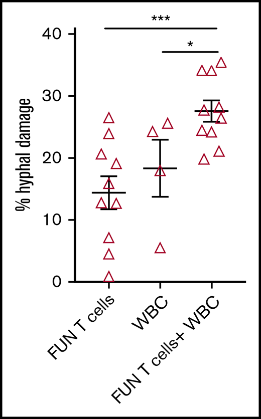 Antihyphal activity of panfungal T cells. Percentage of hyphal damage induced by panfungal T cells, WBCs, and a combination of both after 2-hour incubation with germinated conidia from A fumigatus was assessed using an XTT calorimetric assay. Results are means of 4 experiments (±SEM) and shown as percentage of hyphal damage relative to nontreated hyphae (*P ≤ .05 and ***P ≤ .001 treatment vs none; unpaired, 2-tailed Student t test).