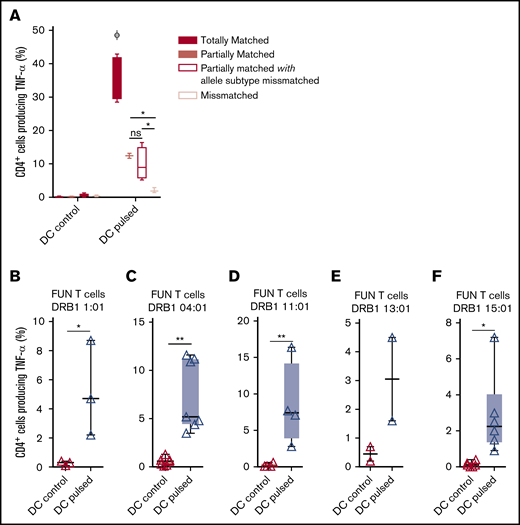 Ability of common HLA-DRB1 subtypes to present fungal antigens to antigen- and allelically mismatched panfungal T cells. (A) Flow cytometry analysis of TNF-α expression in panfungal T cells cultured for 6 hours with nonpulsed or fungal lysate–pulsed MoDCs when the DCs presenting fungi antigens share 2 HLA-DRB1 antigens, only 1 HLA-DRB1 antigen, and only 1 HLA-DRB1 antigen but with different allele subtype and neither of the HLA-DRB1 antigens (mismatched) with the panfungal T cells. Results are means of 2 to 4 experiments (±SEM) and shown as percentage of CD4+ T cells. (A) *P ≤ .05 partially matched vs mismatched and allele subtype missmatched vs mismatched; ΦP ≤ .001 matched vs partially matched, partially matched with allele subtype missmatched and missmatched (unpaired, 2-tailed Student t test). (B-F) Flow cytometry analysis of TNF-α expression in panfungal CD4+ T cells with common HLA types (DRB1 01:01, 04:01, 11:01, 13:01, or 15:01) cultured for 6 hours with allelic-mismatched nonpulsed or fungal lysate–pulsed DCs; DCs express (B) HLA-DRB1 01:02; (C) HLA-DRB1 04:03, 04:04, 04:05; (D) HLA-DRB1 11:04; (E) HLA-DRB1 13:02; and (F) HLA-DRB1 15:02. Results are means of 2 to 6 experiments (±SEM) and shown as percentage of CD4+ T cells (**P ≤ .01, *P ≤ .05 DC control vs DC pulsed; paired, 2-tailed Student t test).