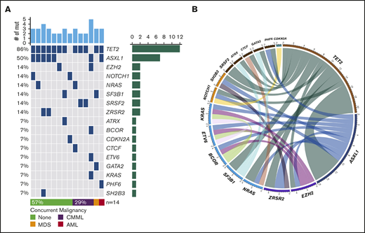 Landscape of somatic mutations and cytogenetics. (A) Mutated genes in BPDCN patients (n = 14). Each column represents individual patient and somatic mutations are highlighted in blue in each gene (rows). Top bar plot indicates number of somatic mutations in individual patient and side bar plot indicates the number of patients who are positive for individual somatic mutation. Bottom bar represents concurrent hematologic malignancy. (B) Comutations between genes in patients with BPDCN (n = 14).
