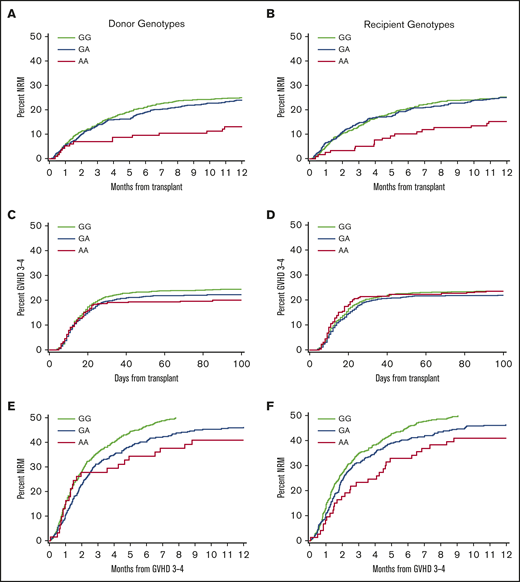 The donor rs1051792 A allele in MICA is associated with lower risk of NRM after allogeneic HCT, lower risk of grade 3 to 4 acute GVHD, and lower risk of NRM among patients with grade 3 to 4 acute GVHD. (A) NRM among patients in the replication cohort, according to the donor rs1051792 genotypes. (B) NRM among patients in the replication cohort, according to the recipient rs1051792 genotypes. (C) Grade 3 to 4 GVHD among patients in the combined discovery and replication cohorts, according to the donor rs1051792 genotypes. (D) Grade 3 to 4 GVHD among patients in the combined discovery and replication cohorts according to the recipient rs1051792 genotypes. (E) NRM from the onset of GVHD among patients with grade 3 to 4 GVHD in the combined discovery and validation cohorts, according to the donor rs1051792 genotypes. (F) NRM from the onset of GVHD among patients with grade 3 to 4 GVHD in the combined discovery and validation cohorts, according to the recipient rs1051792 genotypes. Differences according to donor and recipient genotypes partly reflect different sets of donor-recipient pairs and cannot be attributed entirely to the respective genomes of the donors and recipients.