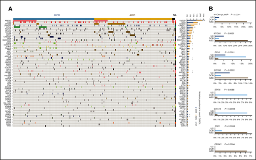 Case distribution and prevalence of gene mutations detected by RNA-seq in GCB and ABC subtypes of DLBCL. (A) Heatmap for distribution of gene mutations in GCB/ABC subtypes of DLBCL. Only genes mutated in ≥6 patients are shown. Each column is for each patient, and each row is for each gene. Frequency (prevalence) of mutations in overall DLBCL is on the right. Genes with significantly differential prevalence in GCB and ABC subtypes (determined by Affymetrix and/or IHC) are marked by asterisks. (B) Differential prevalence of mutations in DLBCL COO subtypes classified by gene expression profiling. Only the most significant genes are shown. UC, unclassified.