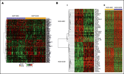 Heatmaps for significant differential gene expression between GCB and ABC subtypes classified by Affymetrix GeneChip or RNA-seq. (A) RNA-seq expression data (significant genes with FDR < 0.10 and fold change ≥ 1.42) of previous GCB/ABC subtypes classified by Affymetrix GeneChip DNA microarray data. (Bi) RNA-seq expression data (top 46 genes selected for the new NGS-COO classifier) of the new GCB/ABC groups. (Bii) Affymetrix GeneChip microarray data of the new GCB/ABC groups.