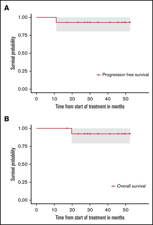 PFS and OS of the intention-to-treat population. (A) PFS. (B) OS. After a median follow-up of 41 months, 1 patient developed progressive disease 9 months after HCT-ASCT and died of lymphoma progression later on. All other patients are in ongoing remission.