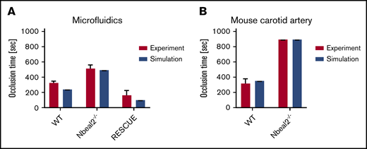 Comparison of simulated occlusion times vs actual experimental values. (A) In vitro microfluidics. (B) In vivo mouse carotid artery modified Folts model.