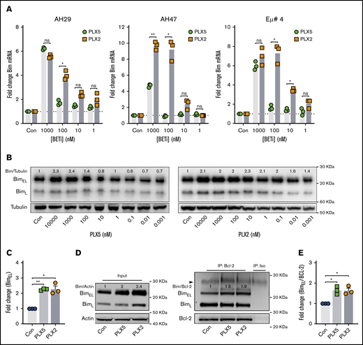 PLX51107 and PLX2853 BETi upregulate the BH3-only protein BIM in Eμ-myc lymphomas. (A) Eμ-myc lymphoma cell lines (AH29, AF47, and Eμ# 4) were treated with qVD (25 μM) for 1 hour to inhibit cell death, followed by PLX5, PLX2, or a DMSO vehicle control (Con) for 24 hours. BIM mRNA expression was then assessed, in triplicate, by quantitative polymerase chain reaction (qPCR) normalized to GAPDH. (B) Eμ-myc lymphoma cell lines (n = 3) were treated as in panel A, and BIM protein expression was assessed after 48 hours. (B) Representative example, with densitometry data normalized to a DMSO control (Con) for 1000 nM PLX5 or PLX2 from each cell line depicted in panel C. (D-E) BCL-2 OE Eμ-myc lymphoma cell lines (n = 3) were treated with 1000 nM PLX5 or PLX2 or a DMSO vehicle control (Con), and BCL-2 protein was immunoprecipitated after 48 hours. Levels of BIM coimmunoprecipitation were then assessed. (D) Representative example of input whole cell lysates (i) and BIM:BCL-2 coimmunoprecipitation (ii) with coimmunoprecipitation densitometry data normalized to baseline demonstrated in panel E. Error bars represent SEM. Statistical analysis was performed using 2-way (A) or 1-way (C-E) ANOVA, and P values were adjusted using the Sidak method or Dunnett’s multiple comparisons tests, respectively. **P < .005, *P < .05.