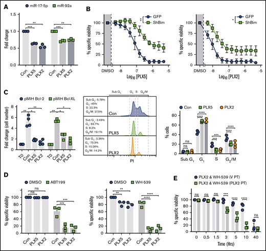 PLX51107 and PLX2853 BETi-induced apoptosis is BIM dependent and effectively combines with BH3-mimetics in Eμ-myc lymphomas. (A) Eμ-myc lymphoma cell lines (n = 3) were treated as in Figure 2A and subjected to 1000 nM PLX5, 100 nM PLX2, or vehicle control (Con) for 24 hours. miR-17-5p and -92a expression was then assessed in triplicate by qPCR normalized to U6 snRNA. (B) Empty vector (GFP) or shBIM-transduced Eμ-myc lymphoma cell lines (n = 3) were treated with PLX5 or PLX2 and assessed for viability as in Figure 1A. Data represent the average of 3 independent experiments for each cell line, performed in triplicate. (Ci) Proliferation of BCL-2– (n = 4) or BCL-XL–transduced (n = 3) Eμ-myc lymphoma cell lines treated with 1000 nM PLX5, 100 nM PLX2, or a DMSO vehicle control (Con) were assessed after 48 hours and depicted as fold change in cell count compared with time 0 (T0). (Cii-iii) BCL-2–transduced (n = 3) Eμ-myc lymphoma cell lines were treated as in panel i and subjected to cell cycle analysis by hypotonic PI staining. (ii) Representative example of hypotonic PI staining. (D) BCL-2– (i) or BCL-XL–OE (ii) Eμ-myc lymphoma cell lines were treated with 1000 nM PLX5, 100 nM PLX2, or an appropriate vehicle control (Con) alongside 300 nM ABT199 (i), 10 μM WEHI-539 (WH-539) (ii), or an additional vehicle control (DMSO) for 48 hours, and viability was assessed by annexin V/PI staining. Points represent the average of 3 independent experiments, performed in triplicate, for each cell line. (E) BCL-XL–transduced Eμ-myc lymphoma cell lines (n = 3) were pretreated with 100 nM PLX2 (PLX2 PT) or a vehicle control (V PT) for 24 hours before administration of 10 μM WEHI-539 (WH-539) and 100 nM PLX2, and viability was assessed after 48 hours. Final PLX2 concentration was 100 nM in all cases. Each point represents the average of triplicate data for each cell line. Statistical analyses were performed via 2-way ANOVA. P values were adjusted for multiple comparisons using either Dunnett’s or Sidak’s analyses, where appropriate, according to experimental design. ****P < .00005, ***P < .0005, **P < .005, *P < .05. Asterisks in panel B represent overall comparisons between curves. Error bars represent SEM.