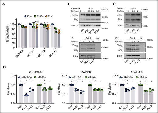 PLX51107 and PLX2853 BETi upregulate BIM in DHL/DEL DLBCL cell lines. (A) SUDHL6, OCI-LY1, OCI-LY8, and DOHH2 were treated with 1000 nM PLX5, 100 nM PLX2, or a DMSO vehicle control (Con) for 48 hours, and viability was assessed by annexin V/PI staining. Points depict the averages of 3 to 6 independent experiments per cell line, each performed in triplicate. (B-C) DOHH2 or SUDHL6 were treated as in panel A, and BIM protein expression was assessed (i). Lysates were subjected to BCL-2 immunoprecipitation and assessed for BIM coimmunoprecipitation (ii). (D) SUDHL6, DOHH2, and OCI-LY8 were treated with 1000 nM PLX5, 100 nM PLX2, or DMSO vehicle control (Con) for 24 hours, and miR-17-5p and -92a expression was assessed by qPCR in triplicate. U6 snRNA was used as an internal control. Error bars represent SEM. Statistical analyses were performed by 2-way ANOVA, and P values were adjusted using Dunnett’s multiple comparisons tests. ****P < .00005, ***P < .0005, **P < .005, *P < .05.