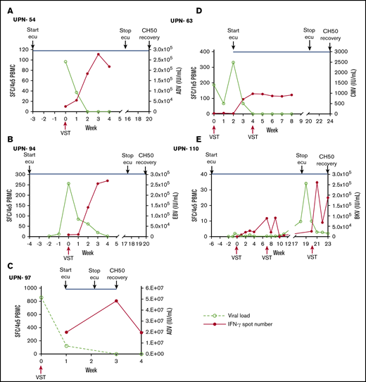 Expansion of antiviral T cells correlated with viral load under the influence of complement blockade. (A-E) Peripheral blood mononuclear cells (PBMCs) were isolated from patients at the time of VST infusion and weekly for the first 4 weeks afterward. Interferon-γ ELISpot was performed on samples after stimulation with pools of overlapping viral peptides (pepmix) from the treated virus. Interferon-γ (IFN-γ)–secreting T cells at each time point were plotted with the corresponding viral polymerase chain reaction quantification at that time. The timing of complement blockade is indicated by the start of eculizumab (ecu), discontinuation of ecu, and the time of CH50 normalization. CH50 normalization is a marker that complement blockade is no longer occurring in blood. Each panel represents ELISpot assay performed on samples isolated from distinct individual patients. ADV, adenovirus; BKV, BK virus; SFC, spot-forming cell.