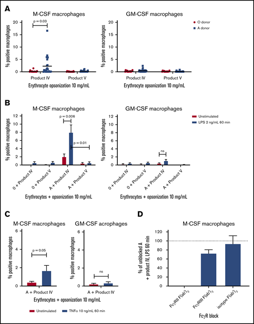 Product IV-opsonized erythrocytes are phagocytosed by LPS-stimulated M-CSF–cultured monocyte-derived macrophages in an FcγRIIa-dependent manner. (A) Phagocytosis of product IV and product V-opsonized O and A erythrocytes by monocyte-derived macrophages cultured with M-CSF (left) and GM-CSF (right). The percentage of positive macrophages is shown, corrected for unopsonized erythrocytes (n = 16-25 monocyte donors of n = 8-14 independent experiments). (B) Phagocytosis of product IV– and product V–opsonized erythrocytes by unstimulated and LPS-stimulated (2 ng/mL for 60 minutes) monocyte-derived macrophages, cultured in the presence of M-CSF (left) and GM-CSF (right). The percentage of positive macrophages, corrected for unopsonized erythrocytes, is shown. Data represent means and standard error of the mean (n = 6-12 monocyte donors of n = 3-6 independent experiments). (C) Phagocytosis of product IV– and product V–opsonized erythrocytes by unstimulated and TNFα-stimulated monocyte-derived macrophages, cultured in the presence of M-CSF (left) and GM-CSF (right). The percentage of positive macrophages, corrected for unopsonized erythrocytes, is shown. Data represent means and standard error of the mean (n = 6-7). (D) Phagocytosis of product IV–opsonized erythrocytes positive for the A blood group by LPS-stimulated monocyte-derived macrophages cultured in the presence of M-CSF. FcγRII and FcγRIII were blocked by F(ab′)2 fragments. The phagocytosis of product IV–opsonized erythrocytes by unblocked macrophages stimulated with LPS was set as 100%. Data represent means and standard error of the mean (n = 4).