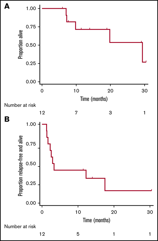 Time-to-event analyses following treatment with pembrolizumab. Kaplan-Meier curves depicting overall survival (A) and morphologic relapse-free survival (B) after administration of pembrolizumab in adults with ALL and MRD. Tick mark represent censored events.