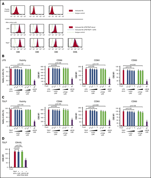 Survival and maturation of mDCs in the presence of IMiDs. Human blood myeloid dendritic cells (mDCs) were incubated for 24 hours with lipopolysaccharide (LPS) (A-B) or thymic stromal lymphopoietin (TSLP) (A,C-D) and the different concentrations of lenalidomide (LEN), pomalidomide (POM), or bortezomib (BOR) (A,D: LEN or POM were used at 1 μM). After culture, viable cells were evaluated by Annexin-V staining. Before and after the culture, the expressions of CD86, CD80, CD83, and OX40L on mDCs was analyzed by flow cytometry. (A) Each histogram shows the expression of the indicated markers on mDCs freshly isolated or stimulated with LPS/TSLP alone or LPS/TSLP + 1 μM LEN for 24 (CD86, CD80, and CD83) or 48 hours (OX40L). Similar results were observed in at least 4 independent experiments and the results of a representative experiment are shown. (B-D) Data indicate the mean fluorescence intensity (MFI), calculated by subtracting the MFI of the isotype control-treated cells from the MFI of the cells treated with the indicated monoclonal antibodies. Each experiment was performed using DCs from a single donor, and data are shown as the mean ± SEM of 6 independent donors (cell viability and CD86) and 4 independent donors (CD80, CD83, and OX40L). Statistical significance was determined using a paired Student t test (**P < .01). Comparisons between data obtained for vehicle controls (indicated as LPS alone or TSLP alone) and for each concentration of the indicated drugs.