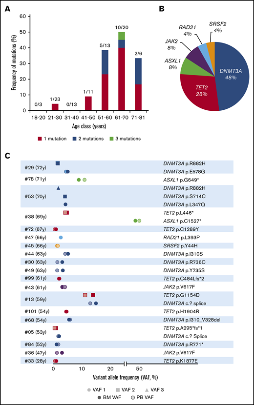 Clonal hematopoiesis in 89 healthy volunteers. (A) Frequency of mutations in each age class, detailing single, double, or triple mutations per individual. (B) Nature and frequency of all the somatic mutations found in the BM of individuals with CH. (C) VAFs of the 25 mutations found in the BM and PB of the 19 volunteers with CH.