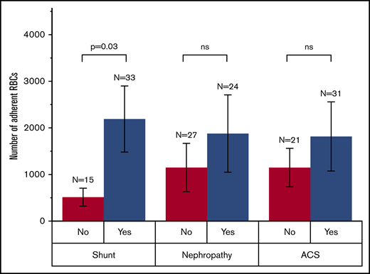 Association of RBC adhesion to ICAM-1 with select clinical phenotype in HbSS SCD. Subjects with a history of intracardiac or intrapulmonary shunt have significantly higher RBC adhesion compared with those with no history of shunt. A history of nephropathy or ACS does not have a significant association with RBC adhesion levels. The P value was calculated using a 2-sample Student t test. ns, not significant.