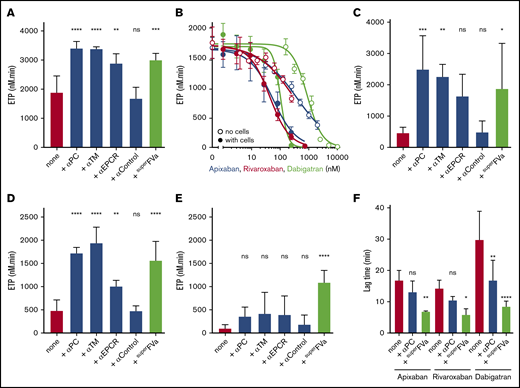 The role of superFVa and APC’s anticoagulant activity on the DOAC mediated inhibition of thrombin generation on endothelial cells. Thrombin generation was performed on EA.hy926 endothelial cells using human plasma in the absence of exogenously added tissue factor or phospholipids. (A) Thrombin generation on EA.hy926 endothelial cells in the presence of antibodies (α) against (A)PC (C1), TM, or EPCR (all 50 μg/mL) or superFVa (200 nM). (B) Thrombin generation in the presence and absence of EA.hy926 endothelial cells with different concentrations apixaban, rivaroxaban, or dabigatran. Thrombin generation in the absence of cells was initiated by 0.2 pM tissue factor and 4 μM phospholipid vesicles (PC/PS 80/20). (C) Panel A in the presence of apixaban (200 nM). (D) Panel A in the presence of rivaroxaban (200 nM). (E) Panel A in the presence of dabigatran (200 nM). (F) Lag time of thrombin generation on EA.hy926 endothelial cells was determined in the presence of all 3 direct oral anticoagulants (200 nM) with and without antibodies against (A)PC (50 μg/mL) or superFVa (200 nM). ns, not significant; TM, thrombomodulin.
