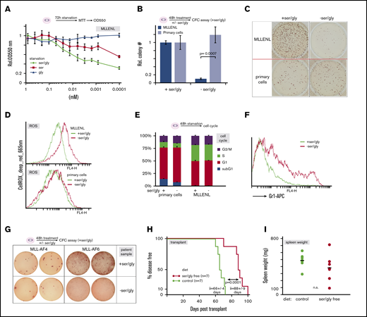 Leukemic cells are dependent on an exogenous source of Ser/Gly (A) Effect of Ser and/or Gly starvation on leukemic cells. MLL-ENL–transduced primary HSPCs were incubated in minimal essential medium supplemented with the indicated concentrations of Ser and Gly or a combination of both amino acids. Proliferation was recorded by standard MTT assays. (B) Selective starvation for Ser and Gly reduces the number of leukemic CFCs. Mean and standard deviation of the relative number of CFCs obtained after a transient starvation of normal and leukemic HSPCs for Ser and Gly. This experiment was performed in triplicate. (C) A sample aspect of CFC colonies in methylcellulose obtained with normal and leukemic cells grown for 48 hours, with or without Ser/Gly. Note that the methylcellulose medium used to enumerate CFCs contains standard amounts of the amino acids. (D) ROS production in normal and leukemic cells after amino acid starvation, as above. FACS plots after staining with CellROX deep-red reagent are shown. (E) Cell cycle distribution of cells as in panel D. (F) Surface staining of leukemic cells for the differentiation marker Gr-1 (Ly6-G) cultivated for 48 hours in supplemented or Ser/Gly-starved conditions. (G) Effect of Ser/Gly deprivation on CFC capacity of MLL-r samples from patients. Cells obtained from leukemic blasts of 2 patients diagnosed with an MLL-AF4 and an MLL-AF6 translocation respectively were cultivated for 48 hours in medium, with or without Ser/Gly, and subsequently plated in duplicate into fully supplemented methylcellulose medium. Colonies were stained and photographed. (H) Survival curve of leukemia cell transplant-recipient animals under different nutrient conditions. Transplant recipients grafted with syngenic MLL-ENL–transduced cells were separated into 2 cohorts fed with either complete chow as the control (green line) or with specifically formulated Ser/Gly-free diet that was otherwise of identical composition (red line). Given are the mean and standard deviation of mean survival times. (I) Spleen weight of animals as recorded in panel H.