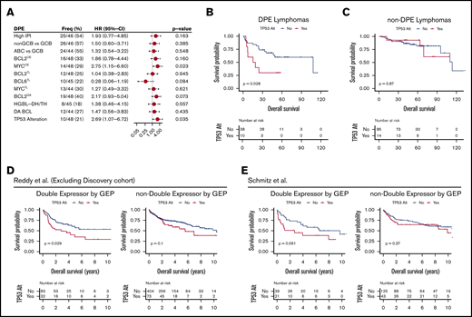 TP53 alterations recognize poor outcome and chemorefractoriness among DPE DLBCL. (A) Forest plots of univariate Cox regression analyses showing hazard ratios with 95% confidence intervals for OS according to studied markers among the DPE lymphomas. (B-C) Kaplan-Meier curves for OS according to TP53 alterations within DPE lymphoma (B) and other DLBCLs (C). (D-E) Kaplan-Meier survival curves for OS according to TP53 alterations stratified with double expression of MYC and BCL2 in the separate validation cohorts. (D) Reddy et al cohort excluding the discovery cohort. High MYC and BCL2 expression status was extracted from the original publication. (E) Schmitz et al cohort. Higher than median gene expression of both BCL2 and MYC was used as a cutoff to approximate double expression.