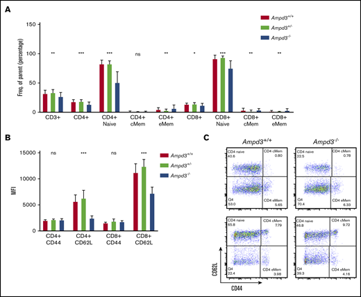 Ampd3 deficiency causes a reduction in mouse naive T cells. (A) Flow cytometry data showing frequencies of various T-cell populations in Ampd3−/− mice (reported as percentage of parent) (n = 25, n = 32, and n = 10 for Ampd3+/+, Ampd3+/−, and Ampd3−/−, respectively). (B) MFI of CD62L and CD44 of CD4+ or CD8+ T cells from Ampd3+/+, Ampd3+/−, and Ampd3−/− mice. (C) Representative flow cytometry result showing CD62L and CD44 expression of CD4+ or CD8+ T cells in Ampd3−/− and wild-type mice. *P ≤ .05, **P ≤ .01, ***P ≤ .001. Ampd3+/+ vs Ampd3−/−. cMem, central memory T cells; eMem, effector memory T cells; ns, not significant (P > .05).