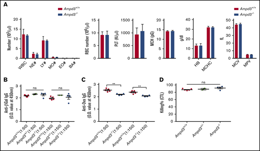 Ampd3-deficient mice show normal complete blood counts and normal T-dependent antibody response to rSFV-β-Gal but an attenuated response to OVA. (A) Complete blood count was obtained using a Hemavet 950. T cell-dependent IgG antibody was measured 14 days after immunization by rSFV-β-Gal (B) or OVA-alum (C) at 2 serum dilutions (1:50 and 1:150). (D) Killing efficacy of OVA peptide–labeled B6 splenocytes by host cytotoxic T lymphocytes (CTL). **P ≤ .01. BA, basophils; EO, eosinophils; HB, hemoglobin; LY, lymphocytes; MCH, mean corpuscular hemoglobin; MCHC, mean corpuscular hemoglobin concentration; MCV, mean corpuscular volume; MO, monocytes; MPV, mean platelet volume; NE, neutrophils; ns, not significant (P > .05); O.D., optical density; PLT, platelet; RBC, red blood cell; WBC, white blood cell.