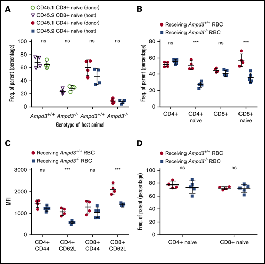 Reduction in Ampd3−/− naive T cells is triggered by T-cell–extrinsic factor(s). (A) Donor CD45.1+ T cells were transferred into CD45.2+Ampd3+/+ and Ampd3−/− hosts. The percentages of naive CD4+ and naive CD8+ T cells of transferred CD45.1+ donors and CD45.2+ hosts are shown (n = 4 for wild-type and Ampd3−/− hosts). (B) Packed red blood cells (RBC) from wild-type mice and Ampd3−/− mice were transfused into CD45.1+ hosts. Percentages of CD45.1+ naive CD4+ T cells and naive CD8+ T cells were analyzed by flow cytometry. (C) MFI of CD44 and CD62L of host CD4+ and CD8+ T cells after receiving blood transfusion. (D) The same groups of mice were analyzed again 40 days after the final transfusion (n = 4 and n = 5 for hosts receiving wild-type and Ampd3−/− red blood cells, respectively). ***P ≤ .001. ns, not significant (P > .05).