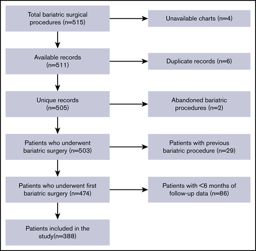 Flowchart of cohort integration. There was a total of 515 bariatric surgical procedures, of which 388 patients met the criteria for inclusion in the study.
