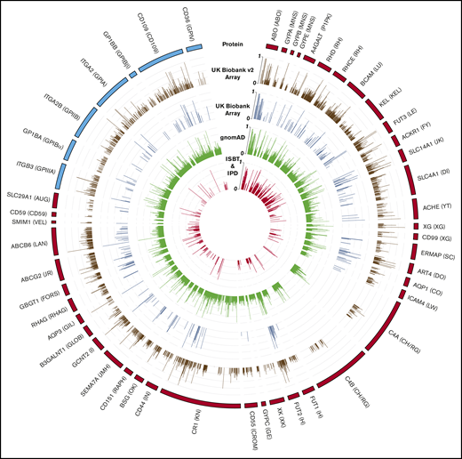 Genetic variation in antigen-controlling genes compared with array content. Tracks (1 to 5) from outside to inside: (1) representations of HPA (blue)- and RBC antigen (red)–encoding genes; box length equates to the number of amino acids in the protein. RBC and HPA system names are annotated next to gene labels; (2 and 3) coding variants included on the UK Biobank (UKBB) v2 (brown) and UKBB (dark blue) array, respectively; (4) all coding variants with consequences in the gnomAD database (green); (5) antigen-encoding variants in the ISBT and IPD-HPA databases (red). Bar length for tracks 2 to 5 represents gnomAD alternate allele frequency.