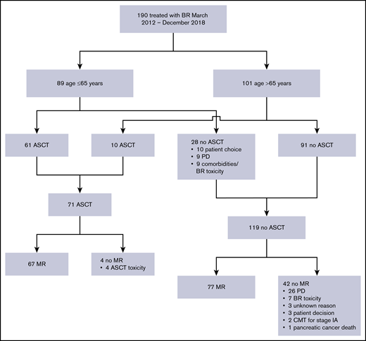 Identification of the BR-treated cohort and description of subsequent therapies. CMT, combined modality therapy.