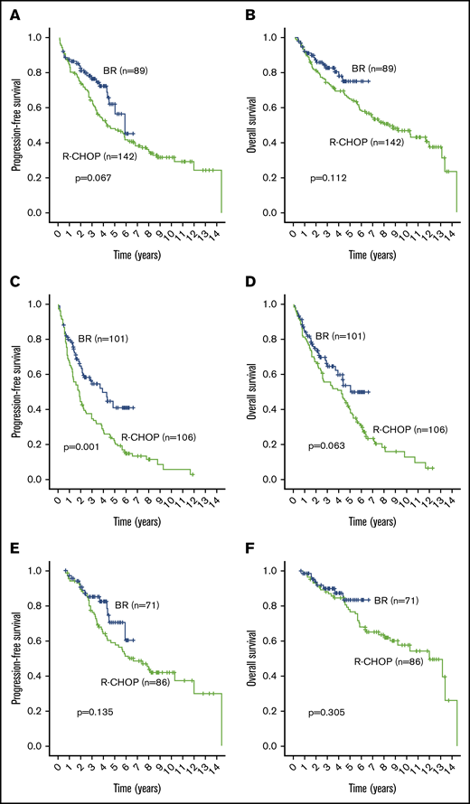 Outcome comparisons between subgroups of the BR (blue line) and R-CHOP (green line) cohorts. (A) PFS in patients ≤65 years of age. (B) OS in patients ≤65 years of age. (C) PFS in patients >65 years of age. (D) OS in patients >65 years of age. (E) PFS in ASCT patients regardless of age. (F) OS in ASCT patients regardless of age.