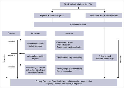 Overview of study schema.