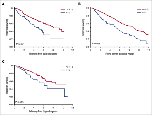 OS by first-line treatment. OS (years) among patients with (blue curve) and without (red curve) +1q among those who received PI- (A), IMiD- (B), and PI plus IMiD–based (C) first-line treatment.