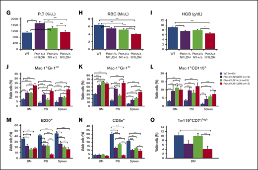 Correlation of phenotype and genotype in the dual-age–specific leukemia mouse model. (A) Kaplan-Meier survival curves show the relationship between survival time and genotype (P < .001). Death was counted in mice without any intervention. Male/female ratios were 2:1 in PtenΔ/ΔNf1LOH mice and Pten+/ΔNf1LOH mice and 1:1 in PtenΔ/ΔNf1+/Δ mice and WT mice. (B) Relationship between the genotype and the spleen and liver weights. Organs from littermates were collected at PND17-19 when PtenΔ/ΔNf1LOH mice with JMML were moribund. Data are presented as median ratios of spleen or liver weight/body weight (BW). (C) Representative photomicrographs of hematoxylin and eosin–stained tissue sections from PtenΔ/ΔNf1LOH mice with JMML (right panels) and WT control littermates (left panels) at PND18. Infiltrates are indicated by yellow arrows. (D-I) Blood profiles from juvenile PtenΔ/ΔNf1LOH mice and littermates at PND17-19 when diseased mice were moribund (n = 12-21). Complete blood counts were performed with a Vet Abc Hematological analyzer. Differentials were manually counted from blood smears stained with May-Grünwald-Giemsa. (J-O) Flow cytometry analysis of cell subpopulations in BM, PB, and spleen. Data are mean ± standard error. *P < .05, ** P <.01, ***P < .001. See additional supportive data in supplemental Figures 1-7. Granu, granulocytes; HGB, hemoglobin; Lymph, lymphocytes; Mon, monocytes; PLT, platelets; RBC, red blood cells.