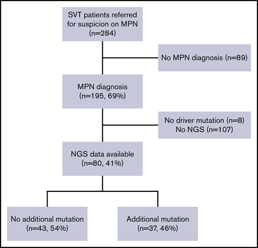 Study profile. Of 284 patients with SVT and suspicion of MPNs, 195 patients had a confirmed MPN diagnosis. We excluded 8 patients without driver mutation and 107 patients without available NGS data. Eighty patients had an NGS analysis and were included in the testing cohort. Among them, 43 patients exhibited at least 1 additional mutation.