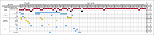 Molecular profiling. Mutations found using a 36-gene NGS panel in the testing cohort, represented according to the presence or absence of clinical events of the primary outcome. Each column represents 1 sequenced patient. Eighty percent of patients with events had additional mutations vs 41% of patients without events. MF, myelofibrosis; ND, not determined.