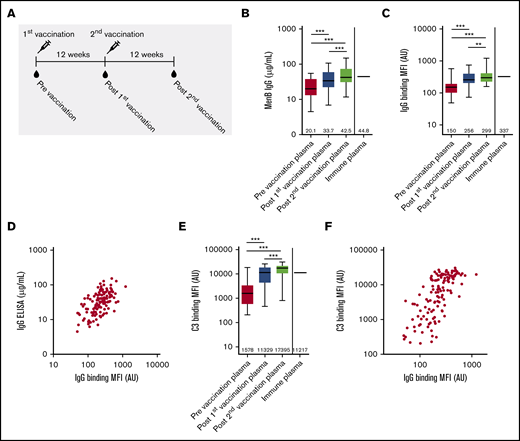 Characterization of functional antibody responses induced by 4CMenB vaccination. (A) Schematic representation of vaccinations and blood draws. MenB IgG level (B), IgG binding to the bacterial surface of MenB (C), and complement C3 binding to the bacterial surface of MenB (D) using PNH patient plasma from before and after the first and second 4CMenB vaccinations and immune plasma from healthy individuals. Figures show boxplots with minimum/maximum whiskers; horizontal lines and values indicated in the figures are medians. Spearman correlation for IgG binding to the bacterial surface with MenB IgG concentration in serum (r = +0.5865; P < .0001) (E) and C3 binding to the bacterial surface (r = +0.7217; P < .0001) (F). Statistical analyses were performed with Prism version 5.03 for Windows (GraphPad Software, La Jolla, CA). Repeated measures analysis of variance with Tukey’s posttest was used to determine statistical significance. **P < .01, ***P < .001. AU, arbitrary unit; MFI, median fluorescence intensity.