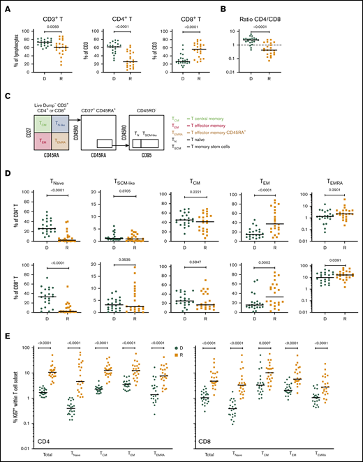 T-cell compartment in recipients without aGVHD after HCT. Shown are results for donor/recipient couples without aGVHD from cohort 1. (A) Frequency of CD3+ T cells within the lymphocyte population (left panel) and frequencies of CD4+ (middle panel) and CD8+ (right panel) T cells within CD3+ T cells. (B) Ratio of CD4+/CD8+ T cells in recipients (R) at day 90 post-HCT compared with their respective sibling donors (D). (C) Gating strategy used to identify naive and memory subsets within the CD4+ and CD8+ T-cell compartments in donors and recipients after transplantation by polychromatic flow cytometry. (D) Frequencies of TNaive, TSCM-like, TCM, TEM, and TEMRA cells within the CD4+ (upper panels) and CD8+ (lower panels) T-cell compartments in recipients (R) at day 90 post-HCT compared with their respective sibling donors (D). (E) Frequency of proliferating Ki-67+ cells in total CD4+ and CD8+ T cells and in the different naive and memory subsets in CD4+ (left panel) and CD8+ (right panel) compartments in donors and recipients. The frequency of Ki-67+ cells is represented as the percentage of Ki-67–expressing cells within total CD4+ or CD8+ T cells and as the percentage Ki-67–expressing cells within the parent gate for TNaive, TCM, TEM, and TEMRA cell subsets. Horizontal lines indicate the median. P values were calculated using the Wilcoxon matched-pairs Student t test (donor vs respective recipient). Differences are considered significant for P < .05.