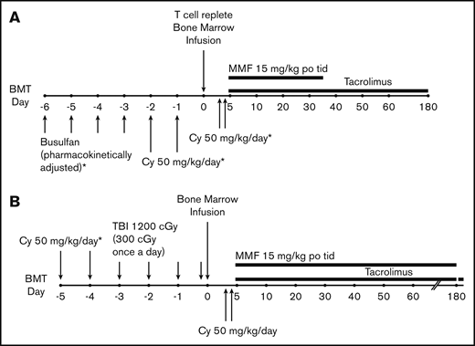 Treatment schemas. (A) Chemotherapy conditioning regimen. (B) TBI conditioning regimen. MMF, mycophenolate mofetil; po, by mouth; tid, thrice daily.