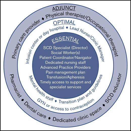 Elements of an adult sickle cell center. Required elements represent the minimal components necessary for a functional and effective comprehensive adult sickle cell center. Optimal elements reflect valuable resources that may be included as part of an adult sickle cell center, although they are not essential. Adjunct elements serve as a supplement to the required and optimal elements and are considered preferred but not strictly necessary.