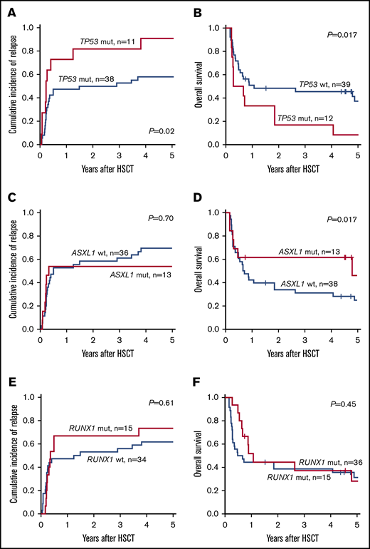 Impact of MRD on the outcome of patients with AML in the context of ELN2017 risk classification. CIR and OS of patients who were MRD− categorized according to the ELN2017 classification compared with BAALC MRD+ (A-B) and MN1 MRD+ (C-D) patients or those with NPM1-mutated MRD (E-F).
