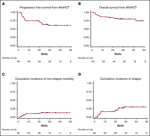 Outcomes for all patients with CLL from time of alloHCT. (A) PFS. (B) OS. (C) Cumulative incidence of NRM. (D) Cumulative incidence of relapse.