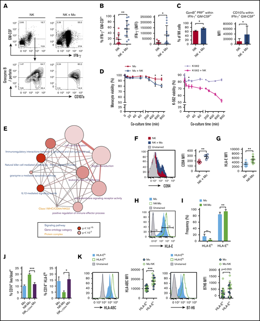 CD14+CD16−monocyte compartment is shaped by NK-cell–mediated cytotoxicity. CD14+CD16− monocytes and preactivated NK cells were isolated from HD blood and cocultured for 18 hours (NK-Mo). After coculture, NK cells’ capacity to produce cytotoxic proteins and cytokines after PMA plus ionomycin stimuli was assessed by flow cytometry. NK cells alone were used as controls. (A) Gating strategy for the analysis of GM-CSF+IFN-γ+ and granzyme B/perforin+CD107a+ NK cells. (B) Frequency of GM-CSF+ IFN-γ+ NK cells; production (iMFI: frequency multiplied by MFI) of IFN-γ by NK cells after contact with monocytes. (C) Frequency of granzyme B/perforin+ within GM-CSF+IFN-γ+ NK cells; expression (MFI) of CD107a by NK cells after contact with monocytes. Cytotoxic function of NK cells was monitored during the cocultures through the assessment of target viability by flow cytometry. K-652 cells were used as positive controls for NK-cell–induced cytotoxicity. (D) Monocyte viability during coculture (5-720 minutes) with NK cells; K-562 viability during the coculture (5-720 minutes) with NK cells. (E) Overrepresentation pathway-based analysis29 of NK-cell–related genes found upregulated in the transcriptome of NK-cell–primed monocytes. The input gene list (supplemental Table 1) was compared with 13-pathway databases considering a minimum overlap of 2 genes and P < .01. Each node represents a different pathway (blue), ontology category (purple), or protein-protein complex (orange); node size represents the number of genes contained in the set of a particular pathway and node color represents the P value. Nodes connected through edges share members and edges width reflect overlapping of genes between nodes. (F) Expression (MFI) of CD94 in NK cells after coculture with monocytes. (G) Expression (MFI) of HLA-E in monocytes after coculture with NK cells. (H) Gating strategy for the analysis of monocytes expressing low and high levels of HLA-E. (I) Frequency of HLA-Elow and HLA-Ehigh monocytes after coculture with NK cells. Monocyte viability was assessed by flow cytometry after contact with NK cells; for some groups, the CD94 receptor was blocked prior the interaction with monocytes (NKα-CD94-Mo). (J) Frequency of CD14+ monocytes positive for Live/Dead dye; frequency of CD14+HLA-Elow monocytes. (K) Histograms and pooled expression (MFI) of HLA-ABC and B7-H6 in HLA-Elow and HLA-Ehigh in monocytes from both groups (Mo and NK-Mo). Error bars represent standard deviation. Data are representative of at least 2 or more independent experiments combined; n = 2-3 HDs per experiment. Statistical comparisons were performed with the unpaired Student t test with Welch correction. *P < .05, **P < .01, ***P < .001.