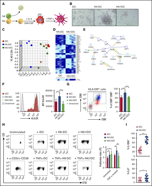 DCs derived from monocytes primed by cell-to-cell contact with NK cells display a unique transcriptional program and enhanced antigen-presenting capacity. (A) Immature DCs derived from NK-cell–primed CD14+CD16− monocytes were obtained after NK-cell depletion and 5-day treatment with IL-4 and GM-CSF (NK-iDCs). Immature DCs derived from monocytes alone (iDCs) or primed by NK cells through a Transwell membrane (NK//iDCs) were used as controls. For some experiments, immature DCs were activated for 24 hours using TNF-α. (B) DCs at fifth day of differentiation, photographed at an original magnification of ×20 using an inverted microscope. After differentiation, iDCs were sorted by flow cytometry and total RNA was extracted for the determination of gene expression by microarray. (C) Transcriptional heterogeneity between DCs determined by principal component analysis (PCA) of differentially expressed genes (P < .005). (D) Heatmaps for differentially expressed genes (P < .005) of DCs derived from monocytes primed by NK cells through cell-cell contact (NK-iDCs) vs Transwell contact (NK//iDCs); control iDCs vs Transwell contact (NK//iDCs). (E) Transcriptional network upregulated in DCs derived from NK cell-primed monocytes (NK-iDCs). After differentiation, the surface phenotype of iDCs was analyzed by flow cytometry. (F) HLA-DR histograms and expression (MFI) of iDCs at different conditions. (G) Dot plot and frequency of CD86+ CD80+ iDCs at different conditions. Untreated and TNF-α–treated iDCs from different conditions were cocultured with purified, CFSE-stained naive allogeneic T cells for 5 days. Unstimulated T cells and T cells stimulated with α-CD3/α-CD28 beads were used as negative and positive proliferation controls, respectively. (H) Dot plots showing total CD3 T proliferation (CFSE dilution) induced by DCs from different conditions by the fifth day, assessed by flow cytometry; proliferation index obtained in each condition determined in FlowJo. (I) Frequency of IL-15RA+ and IL-6+ DCs derived from NK-primed monocytes, assessed by flow cytometry after 48 hours of coculture with purified naive allogeneic T cells. Error bars represent standard deviation. Data are representative of at least 2 or more independent experiments combined; n = 2-3 HDs per experiment. Statistical comparisons were performed with the unpaired Student t test with Welch correction. *P < .05, **P < .01, ***P < .001.